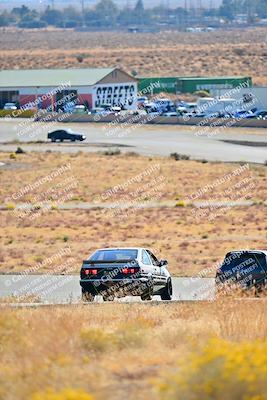media/Nov-16-2024-Extreme Speed (Sat) [[6587d07cc4]]/Gold Group/Session 1 (Turn 2)/